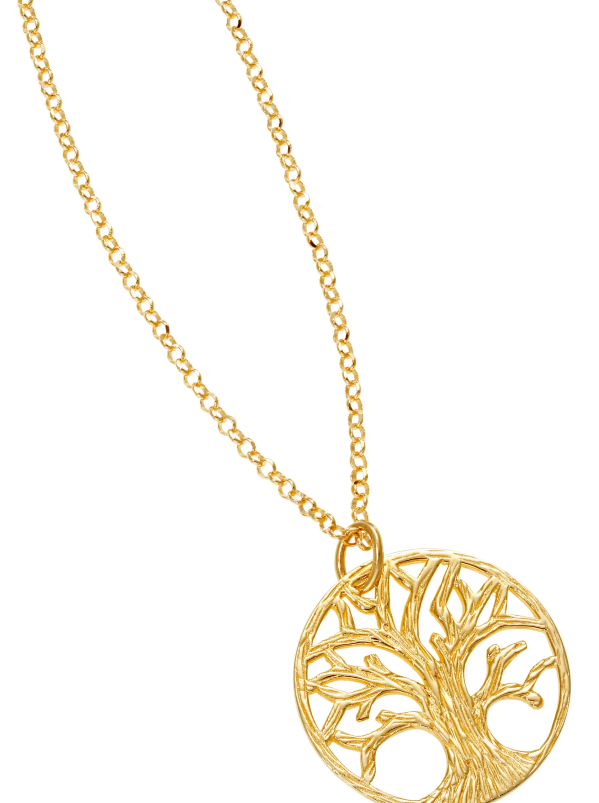 Schmuck| Anhänger Silbervergoldet925