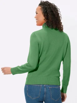 Pullover| Rollkragenpullover im Baumwoll-Mix apfel