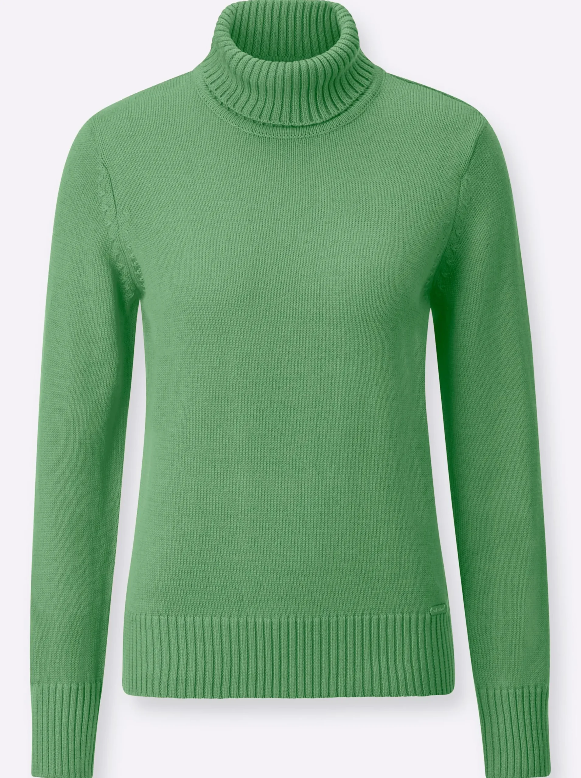 Pullover| Rollkragenpullover im Baumwoll-Mix apfel