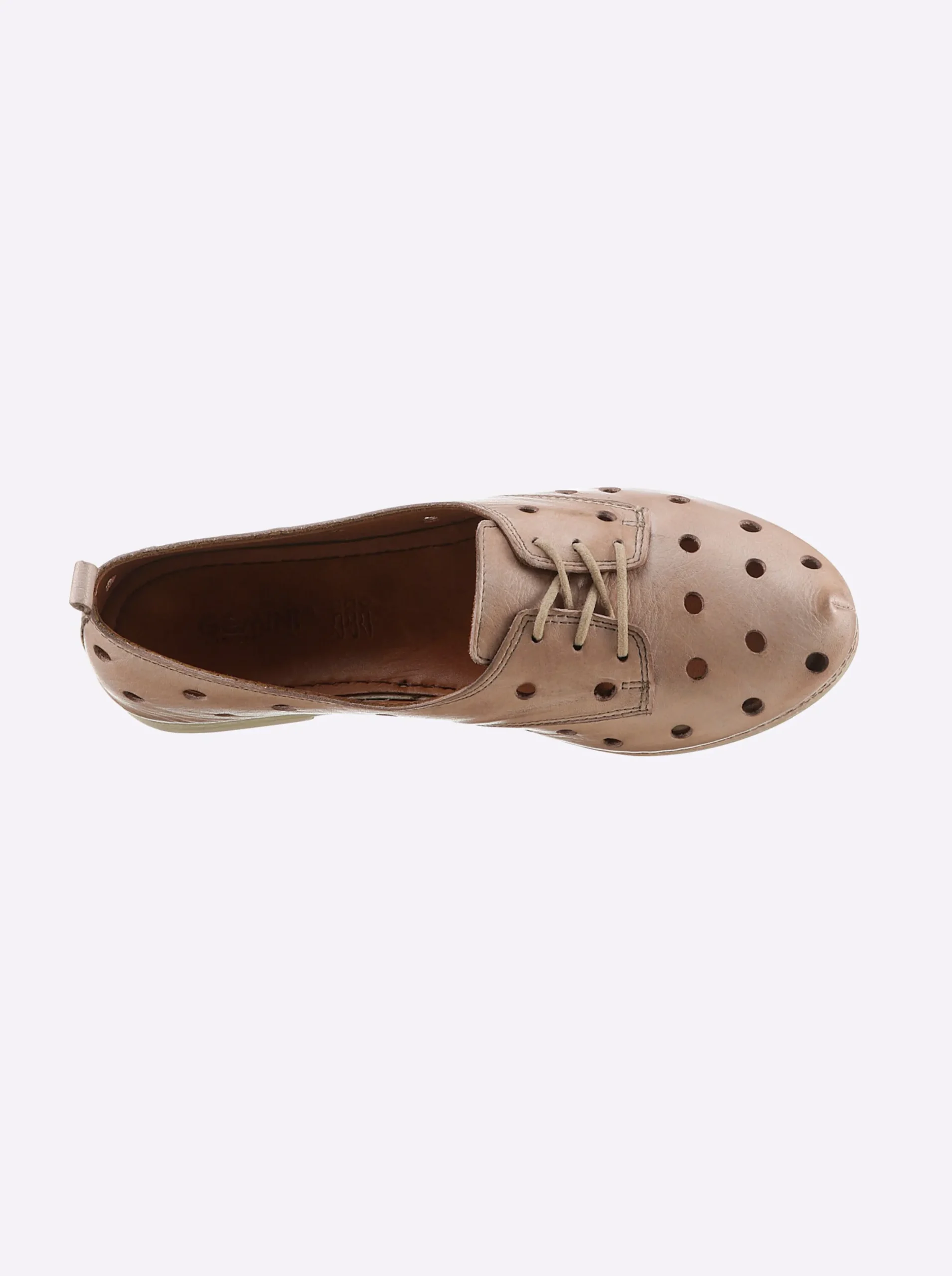 Sneakers & Schnürer|Gemini Schnürschuh taupe