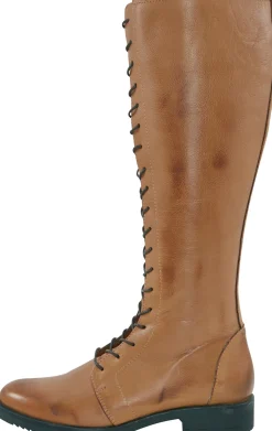 Stiefel|Andrea Conti Schnürstiefel cognac
