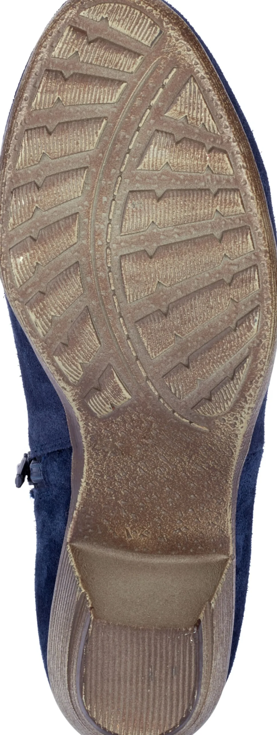Stiefeletten|Stiefel|Andrea Conti Stiefelette marine