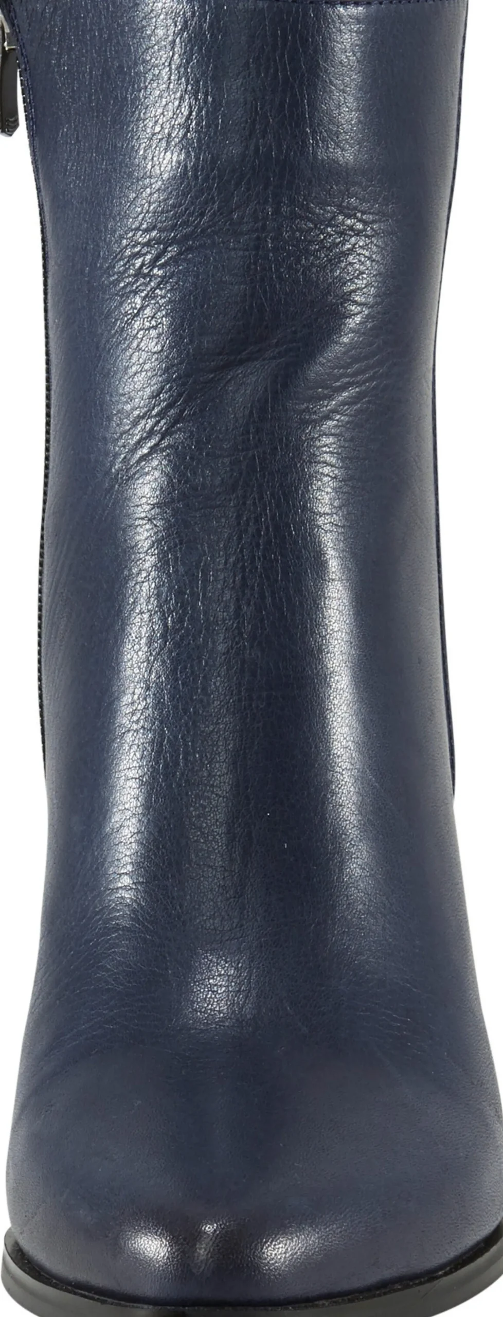 Stiefeletten|Stiefel|Andrea Conti Stiefelette dunkelblau